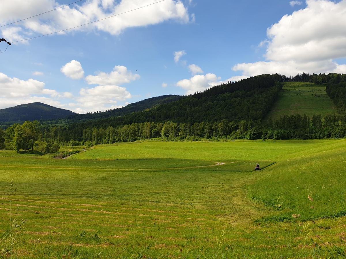 Apartament Stok O Krok Stronie Śląskie Esterno foto